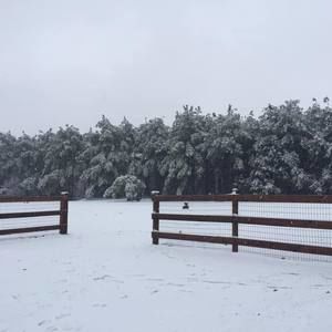 Meet your Posher, Sheri